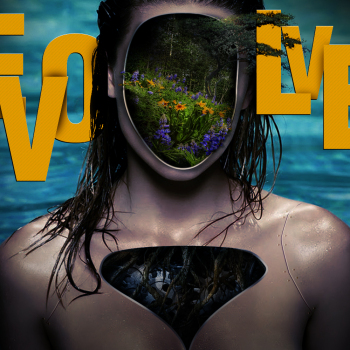 Evolve Cover Art
